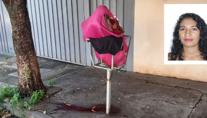 Polícia conclui inquérito sobre morte de mulher encontrada em lixeira em Rio Preto