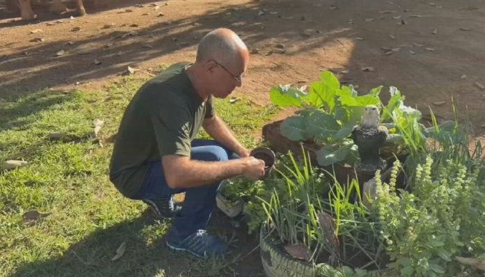 Projetos no interior de SP transformam resíduos em adubo e carvão sustentável