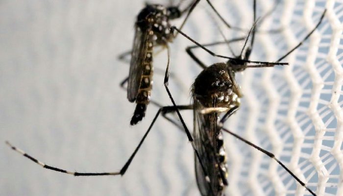 Quase metade dos municípios brasileiros enfrenta alerta ou risco do Aedes