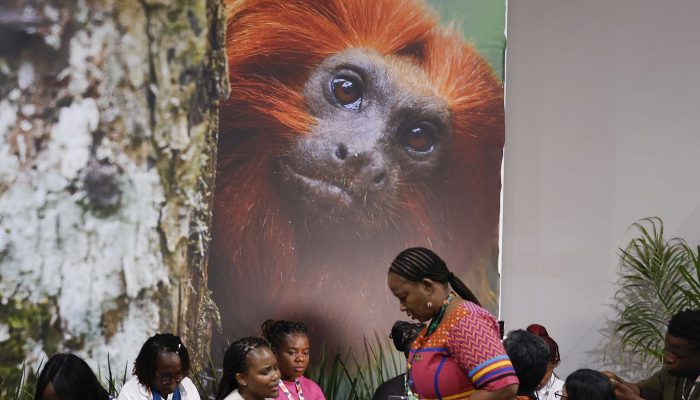 Crédito: agenciabrasil.ebc.com.br