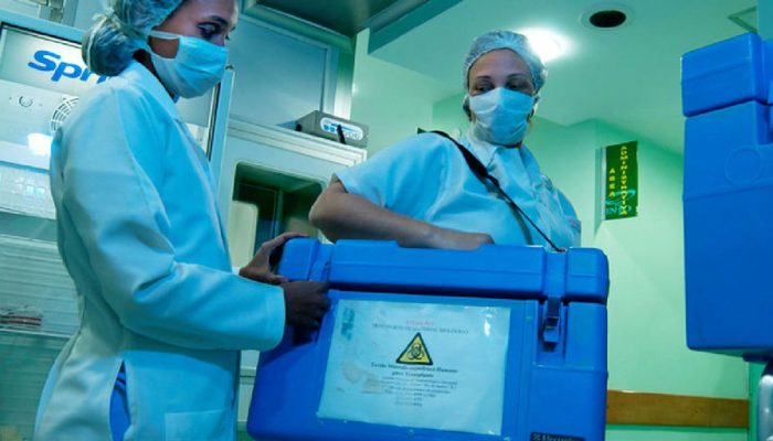 Recusa familiar de doação de órgãos atinge 45% no Brasil e acende alerta