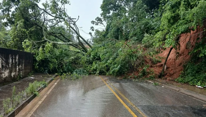 Temporal de madrugada causa alagamentos e transtornos na região de Jundiaí