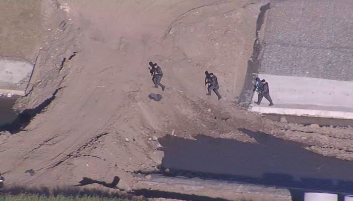 Tráfico internacional em Guarulhos: Justiça solta segundo envolvido, PF segue investigando
